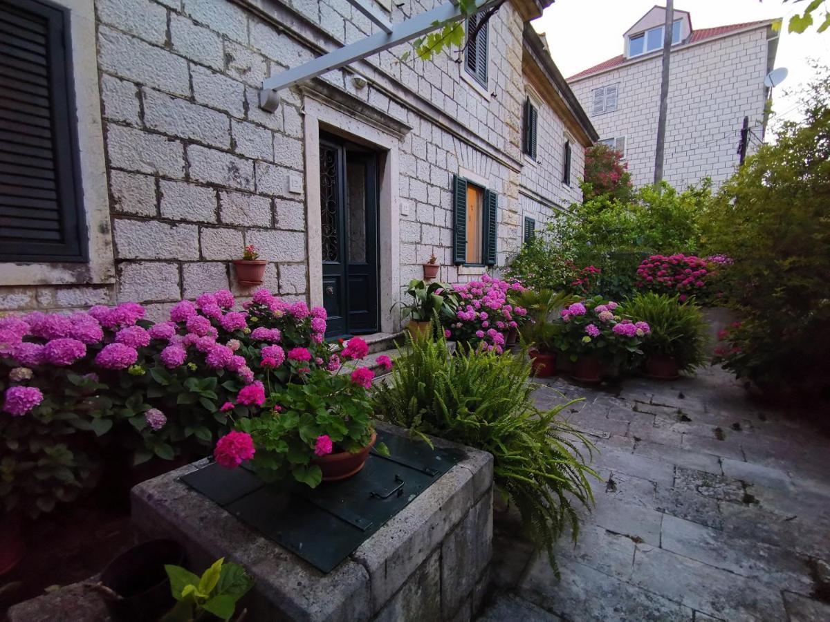 Apartments Sensa Dubrovnik Exteriör bild