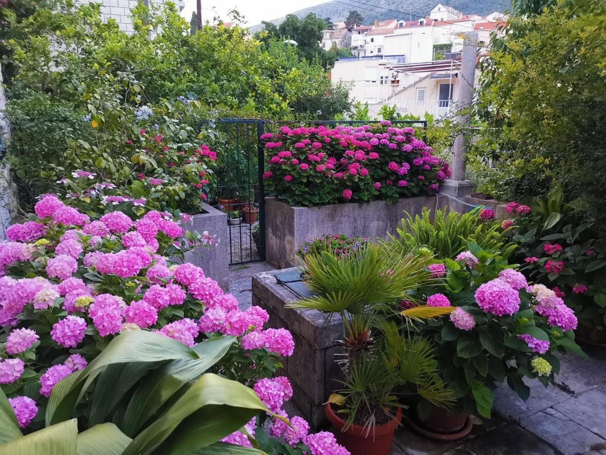 Apartments Sensa Dubrovnik Exteriör bild